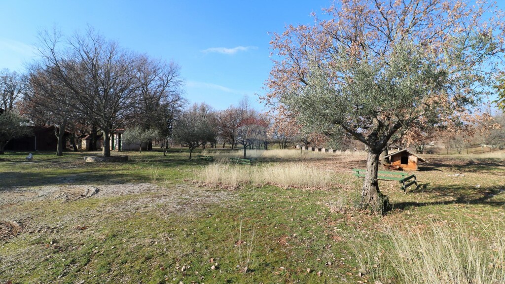Image 12