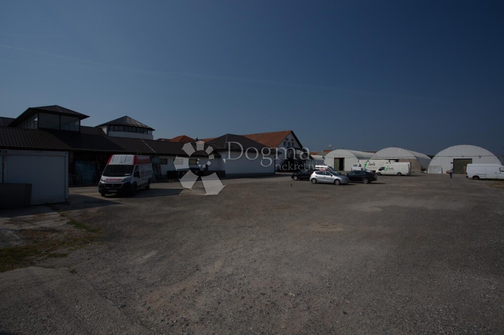 Image 6