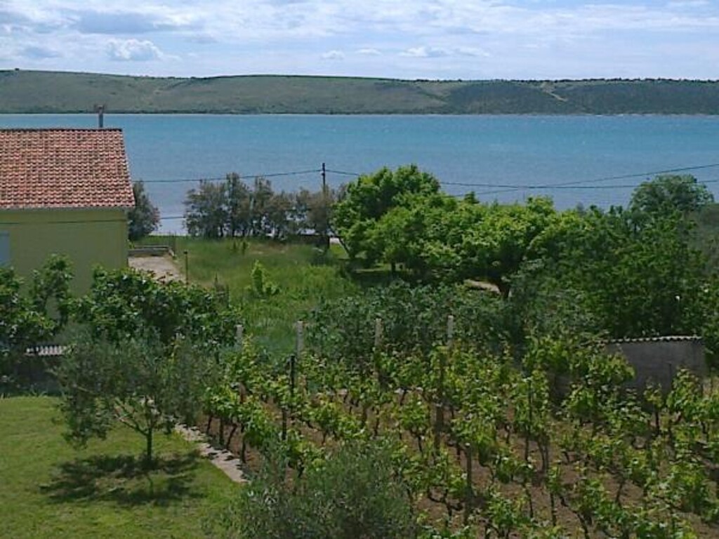 Image 3838673 - 5