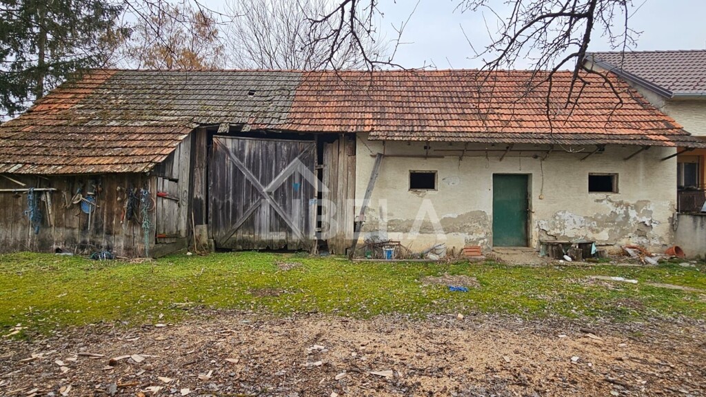 Image 9