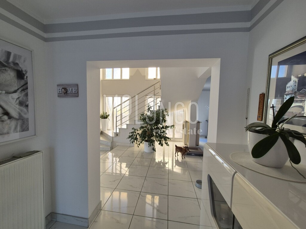 Image 19