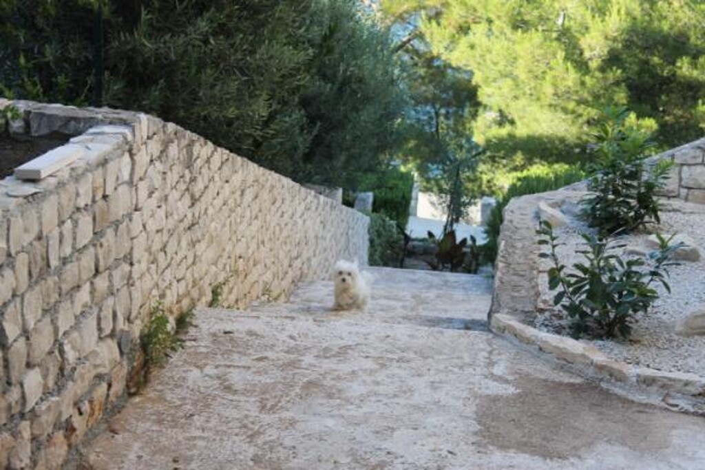 Image 3812424 - 7