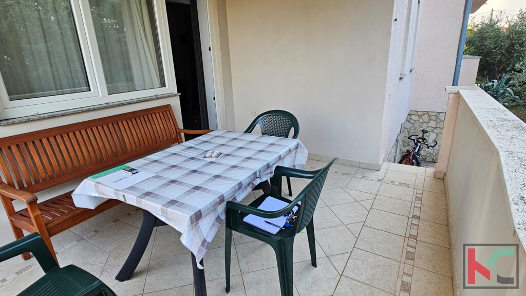 Image 12