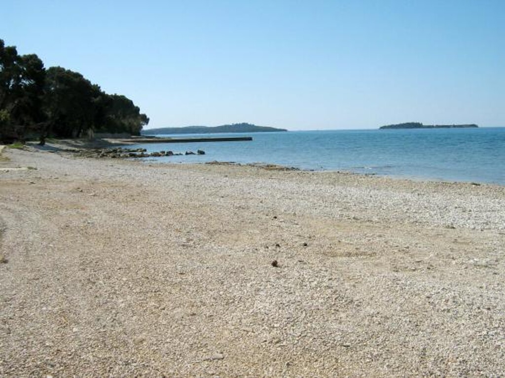 Image 3810856 - 11