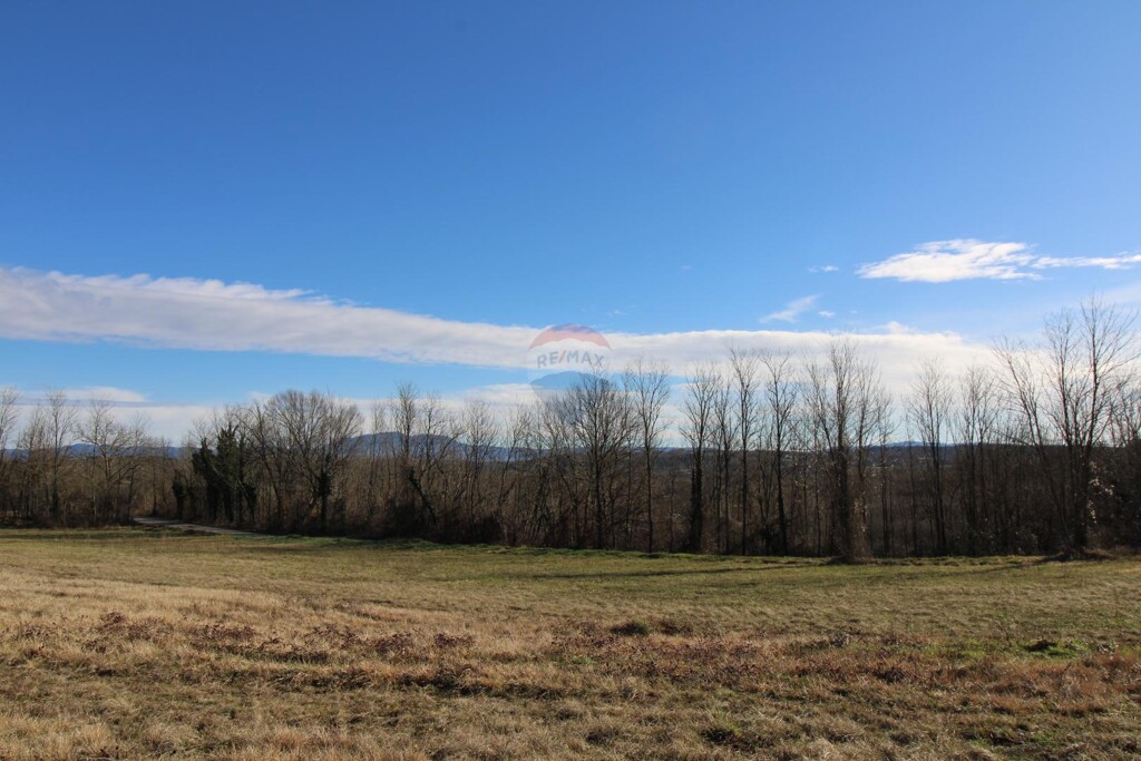 Image 5474739 - 6