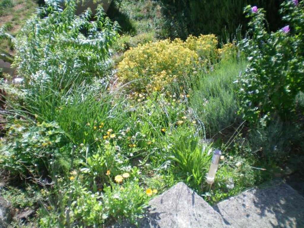 Image 3814955 - 10