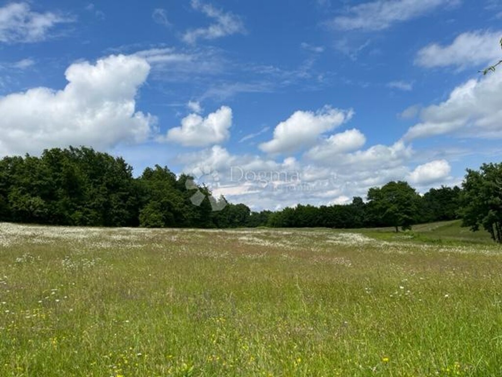Image 13