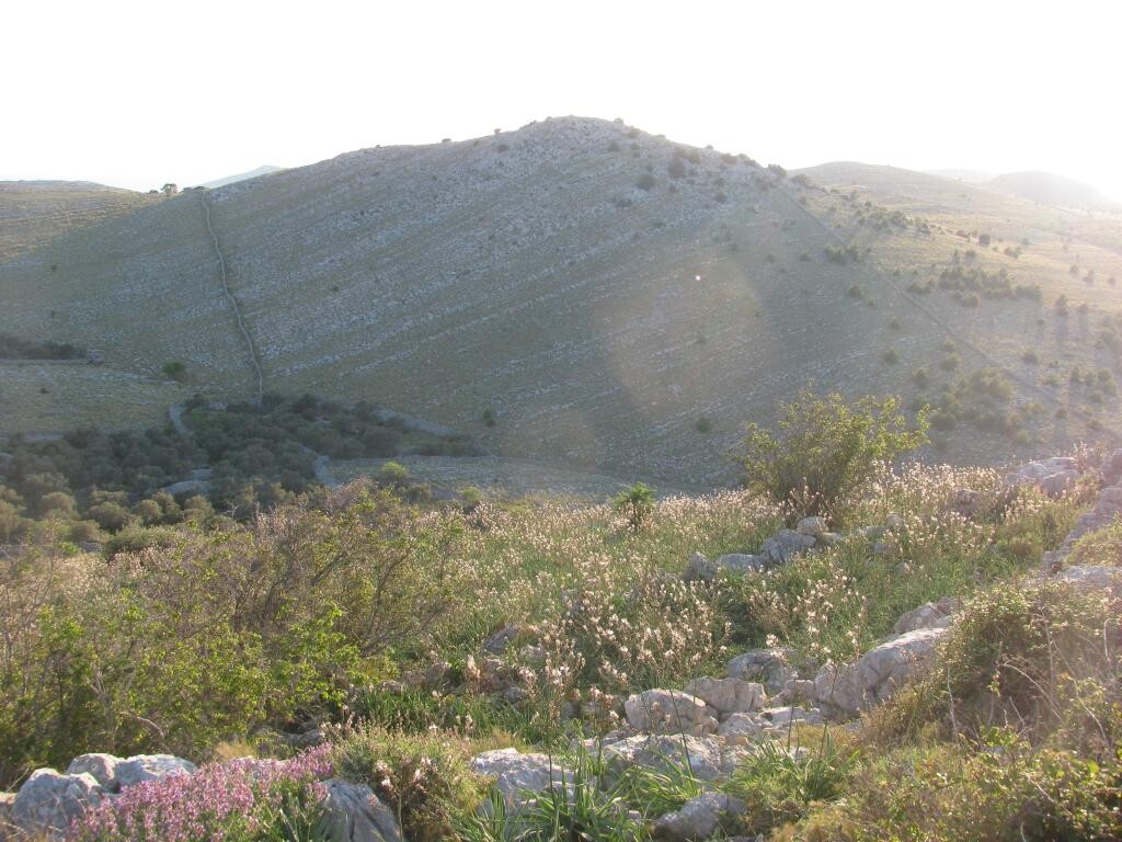 Image 36