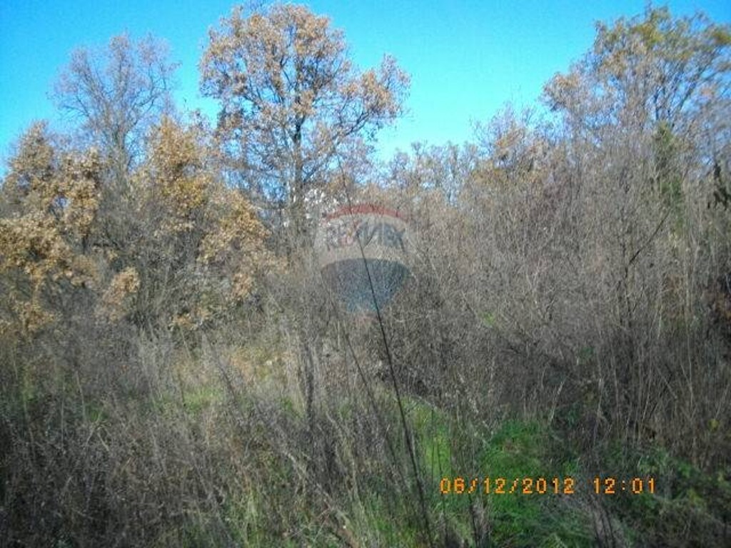 Image 5411245 - 2