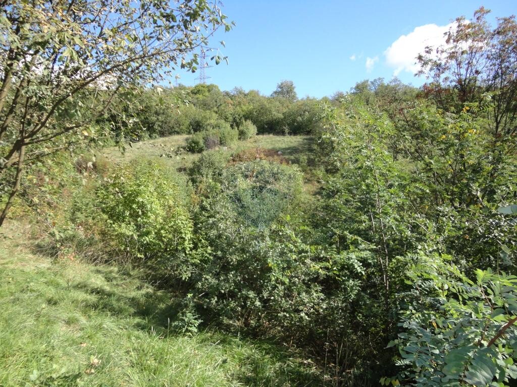 Image 5410820 - 1