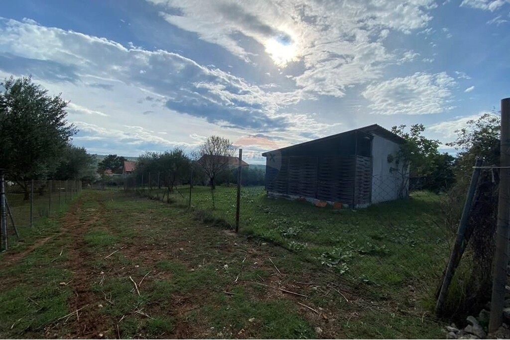 Image 21
