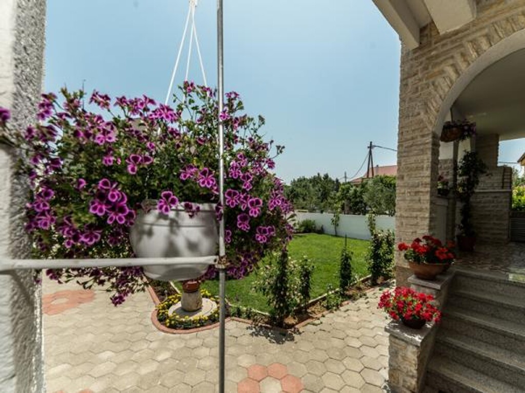 Image 3810852 - 2