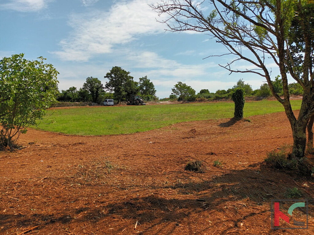 Image 26