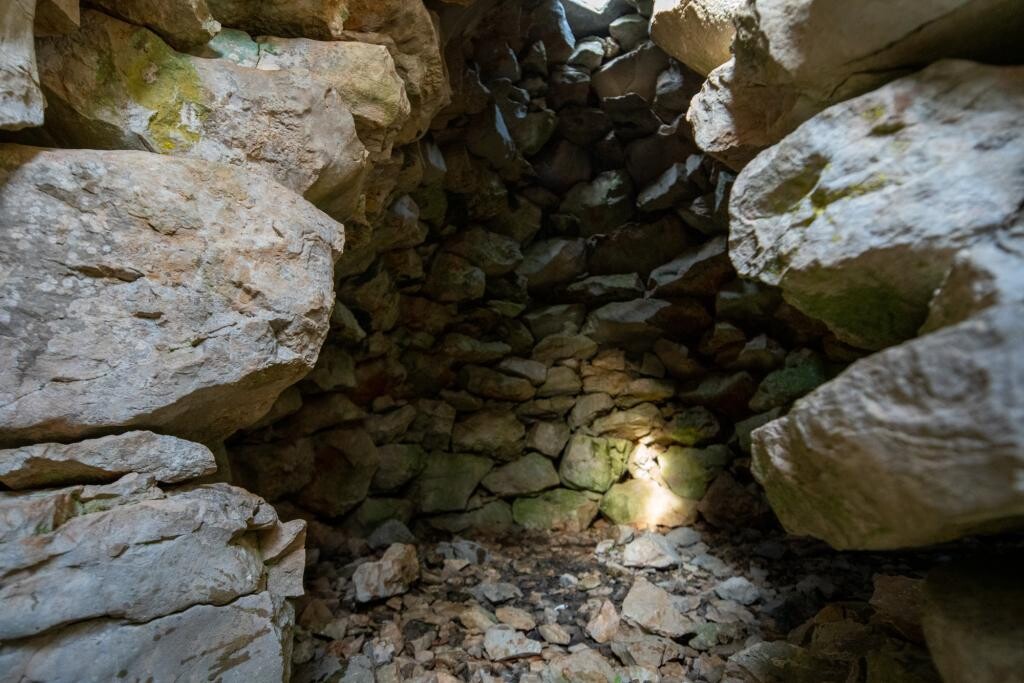 Image 31