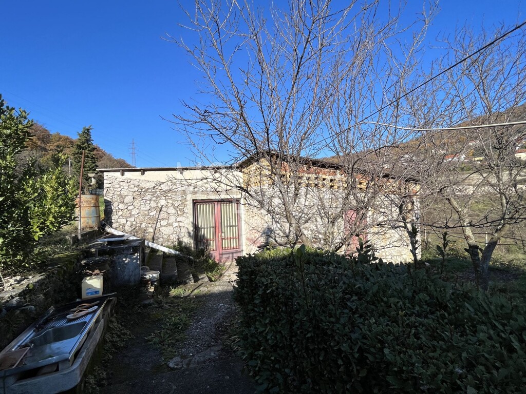 Image 13