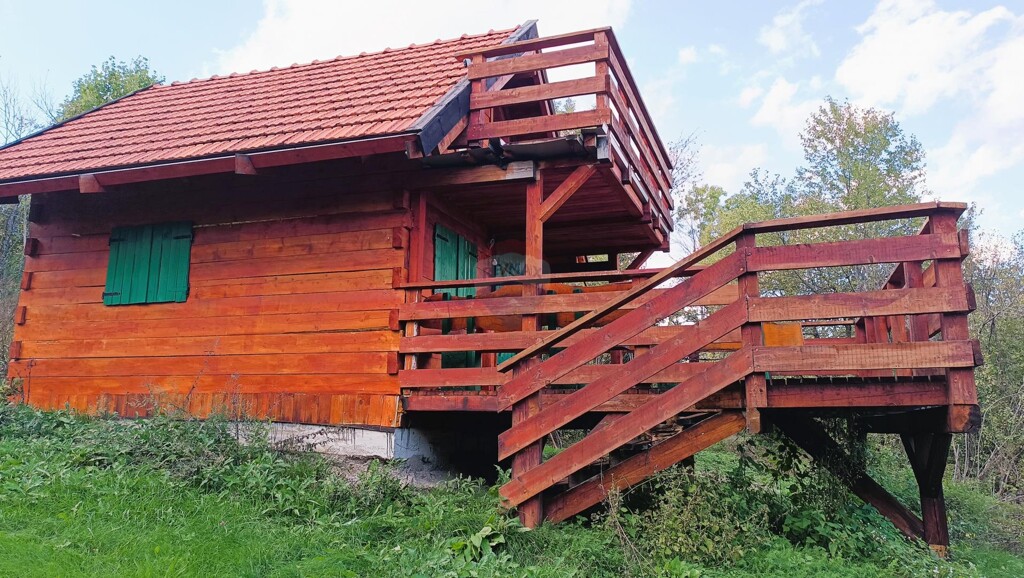 Image 14