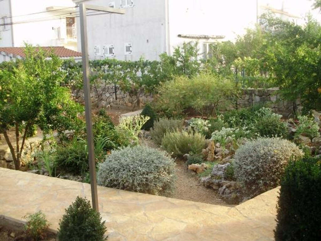 Image 3811995 - 11
