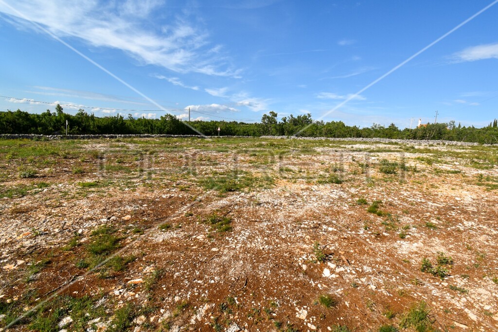 Image 20
