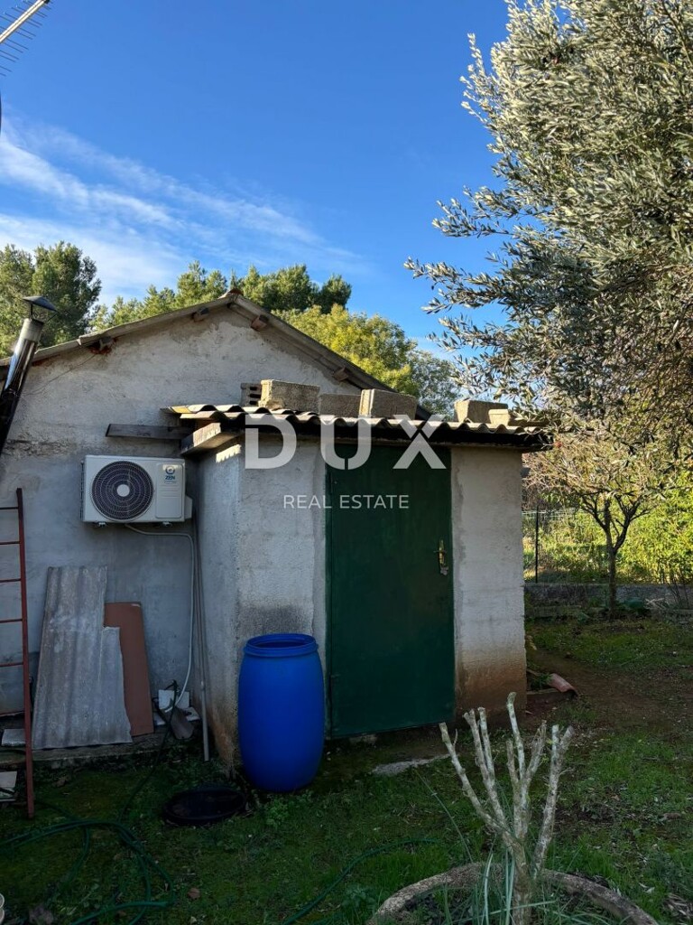 Image 15