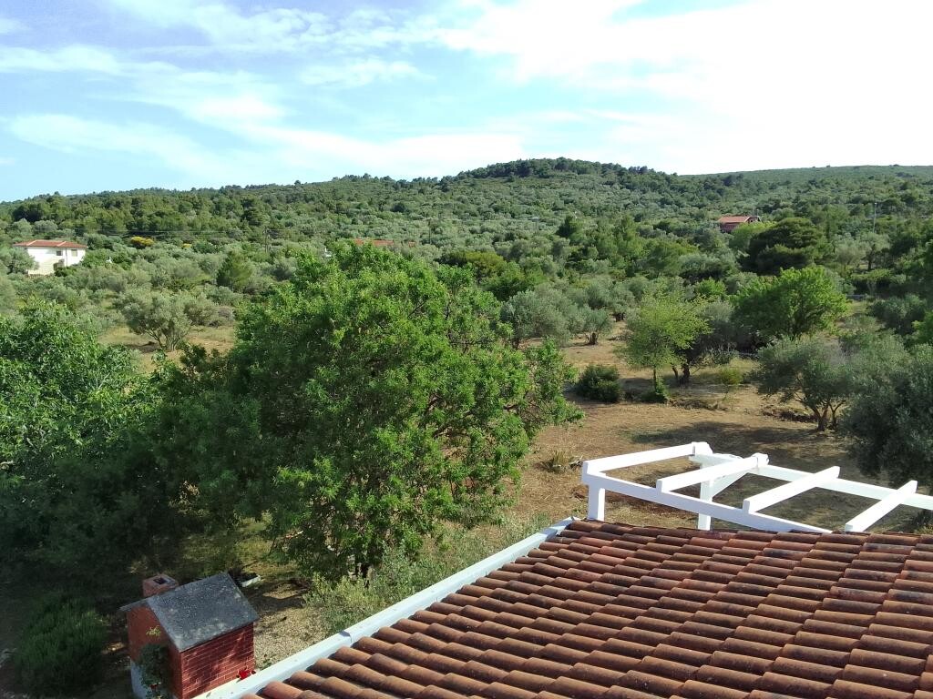 Image 3813070 - 23
