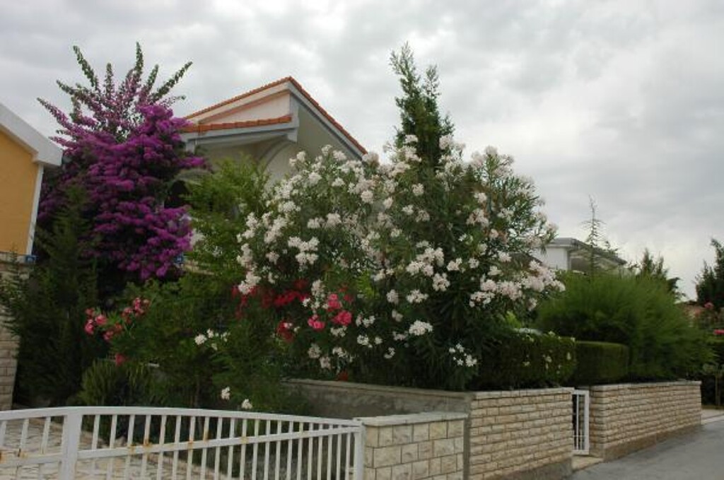 Image 3814552 - 1