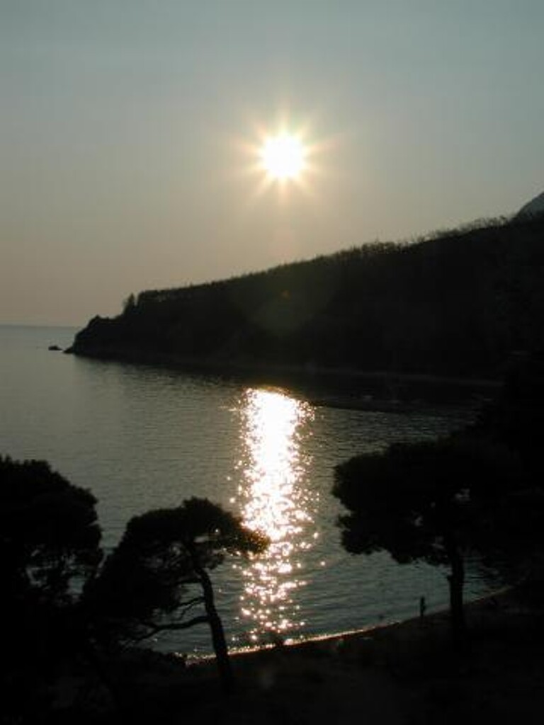 Image 3811384 - 23