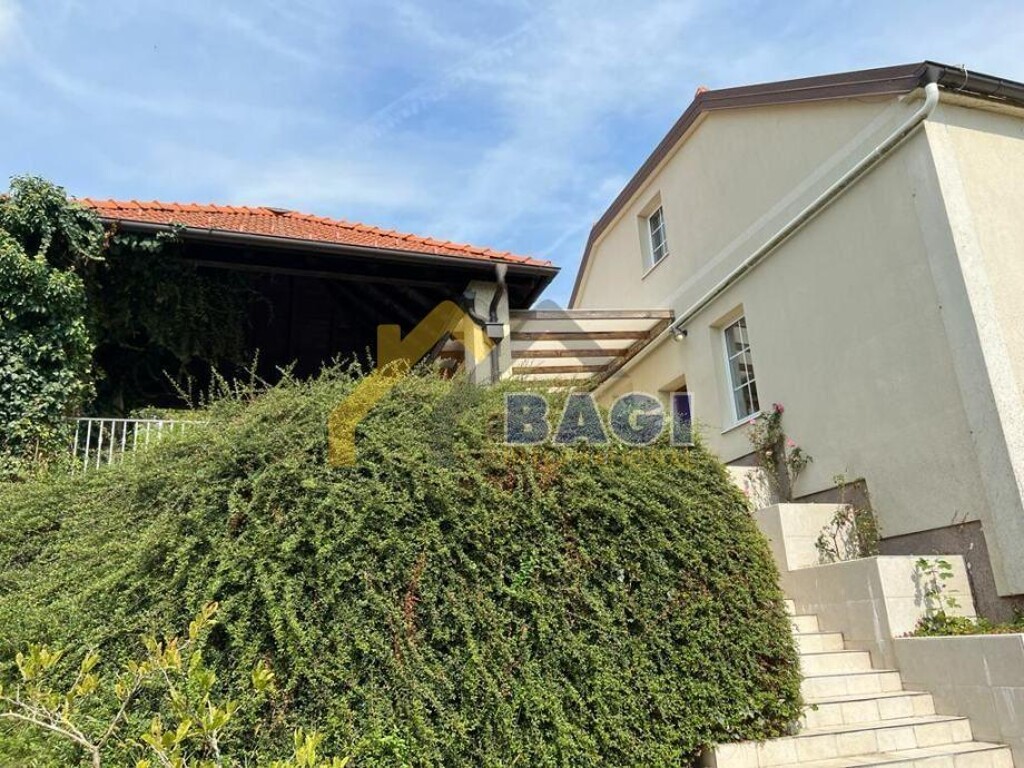 Image 15