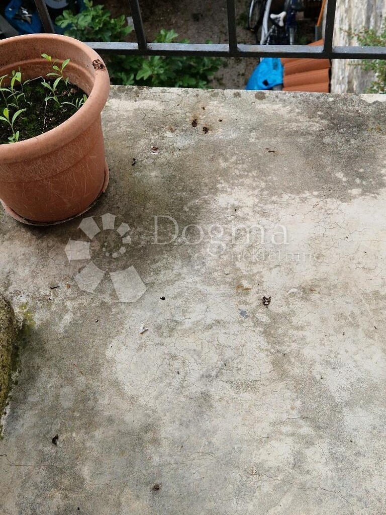Image 16