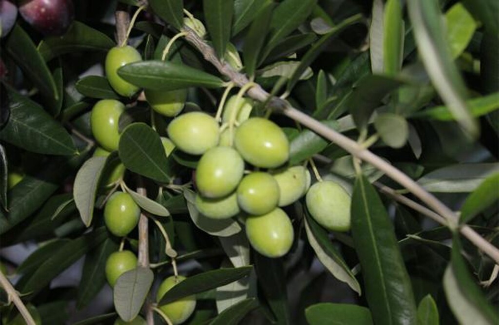 Image 3811447 - 30