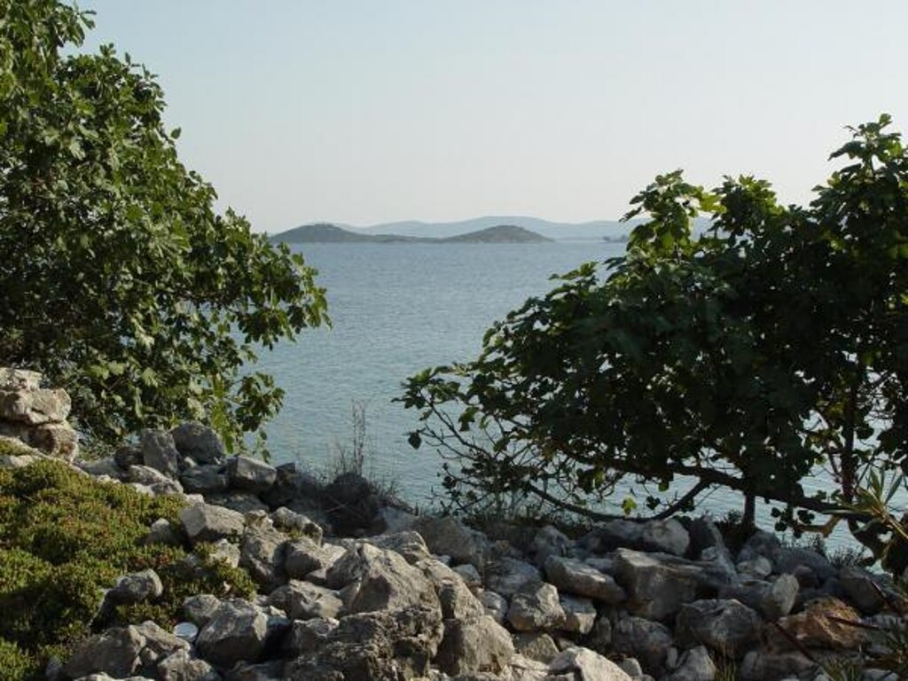 Image 3810699 - 21