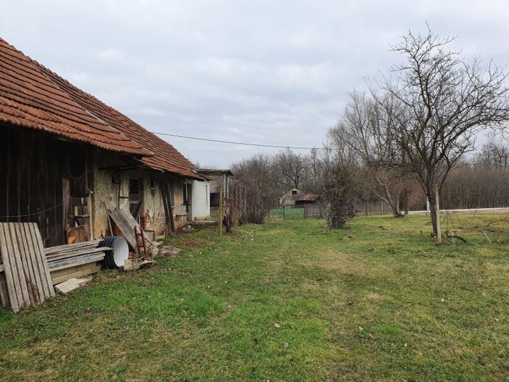 Image 14