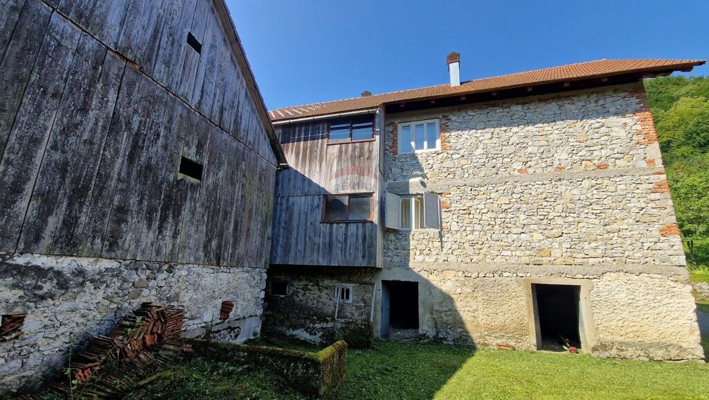 Image 12