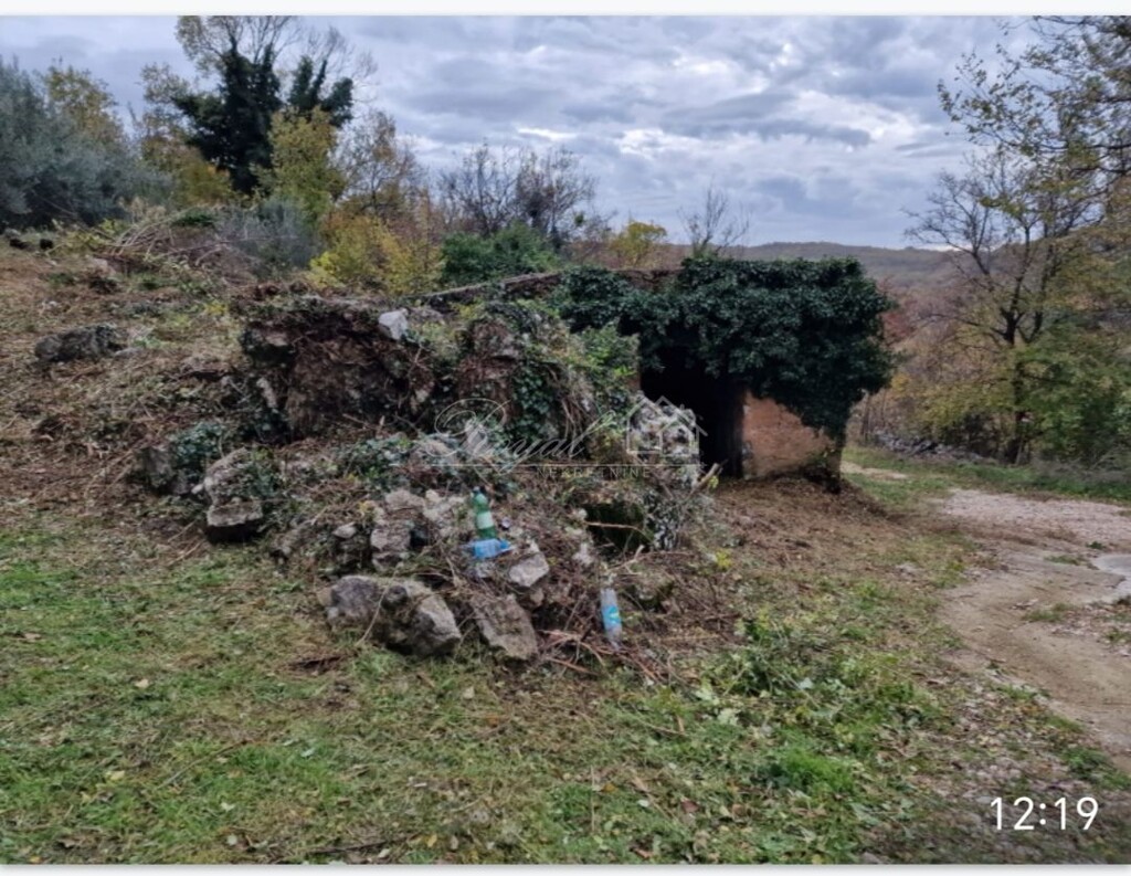 Image 12