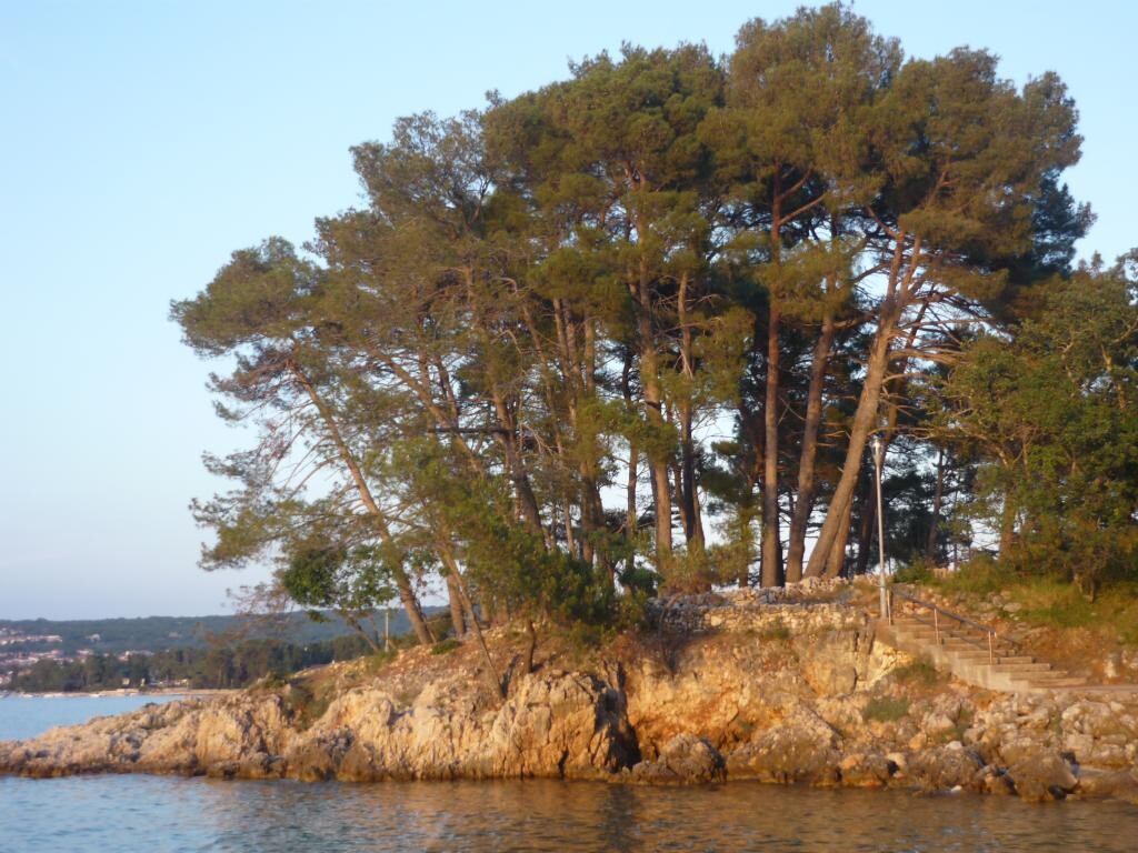 Image 15