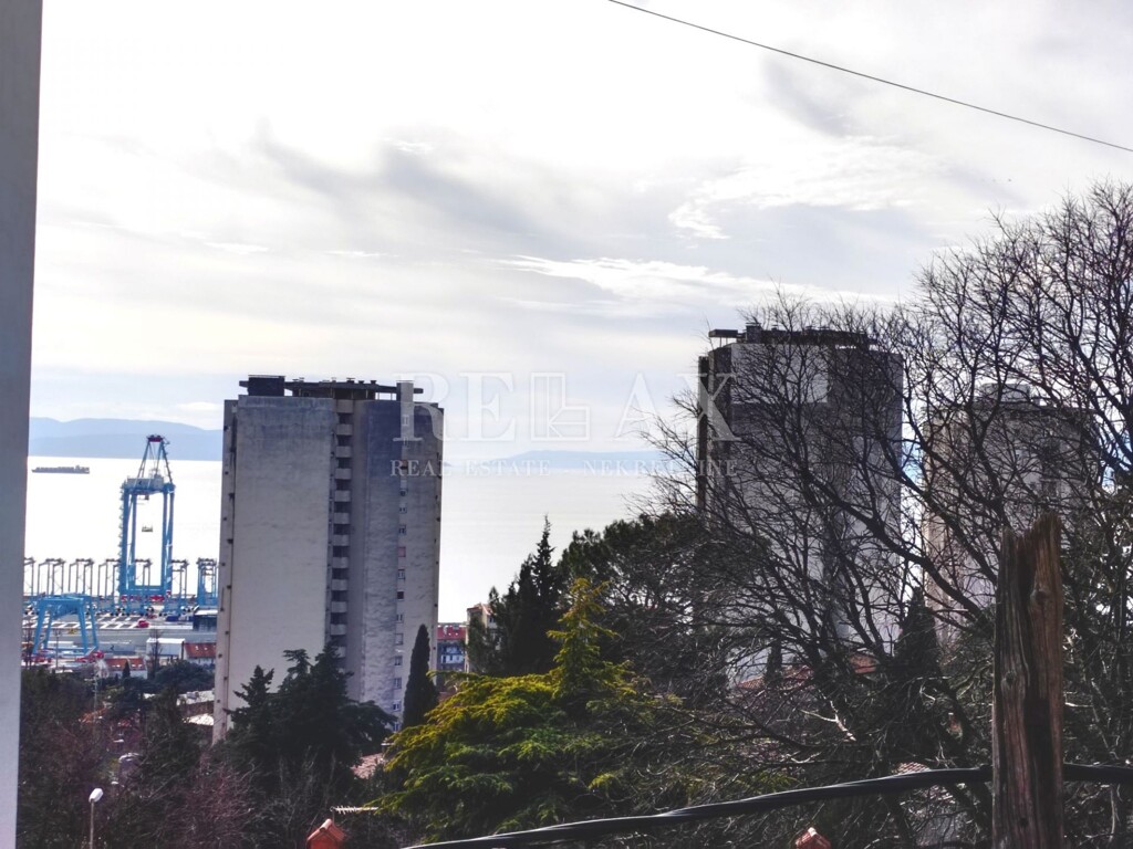 Image 15