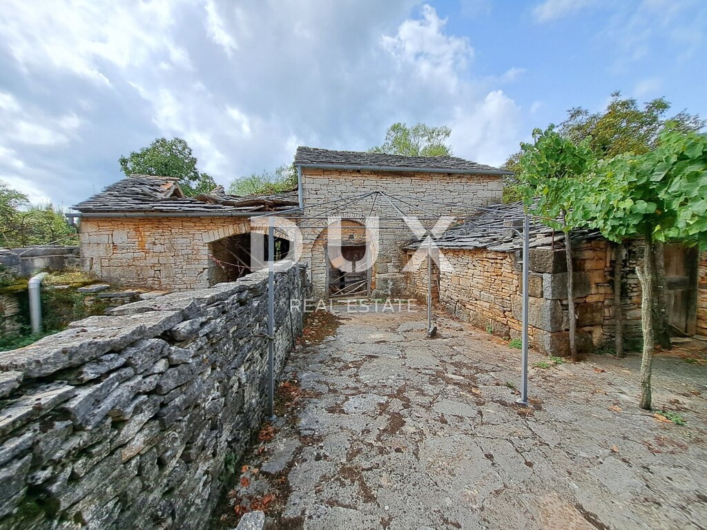 Image 14