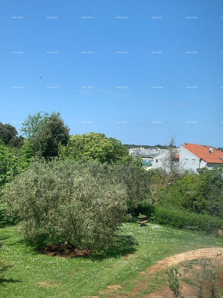 Image 18