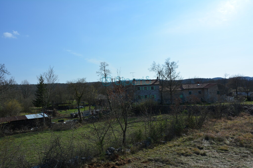 Image 16