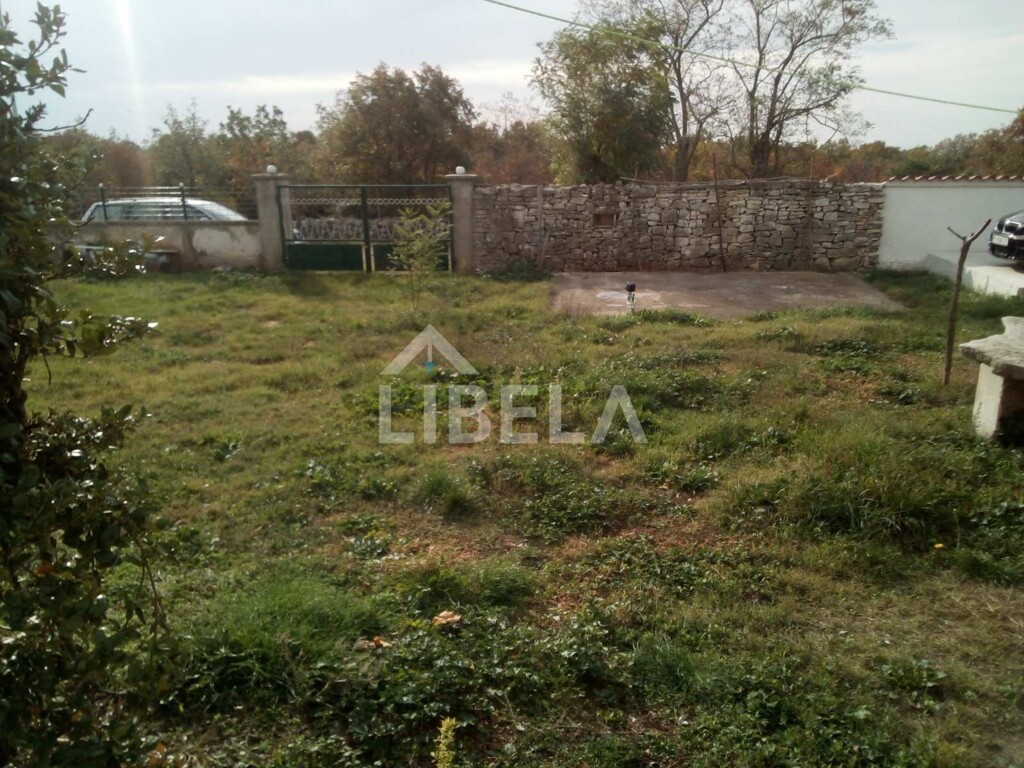 Image 12