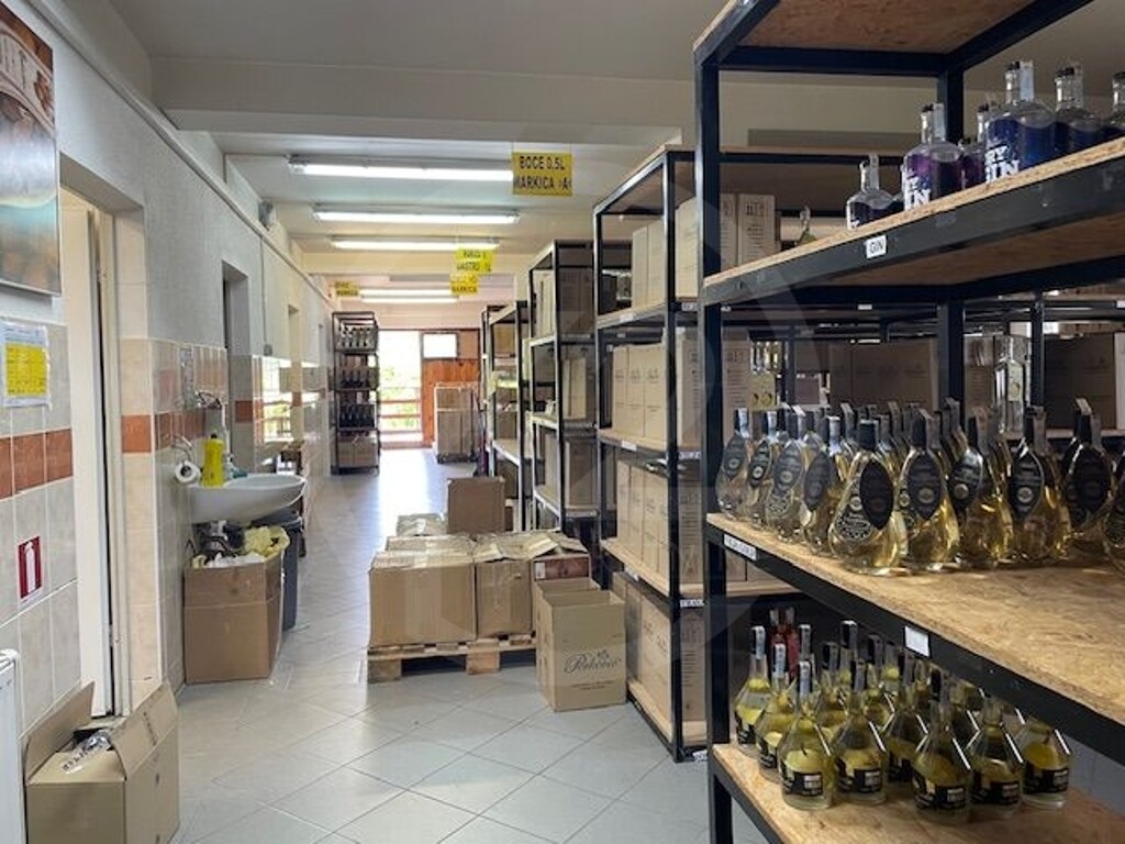 Image 22