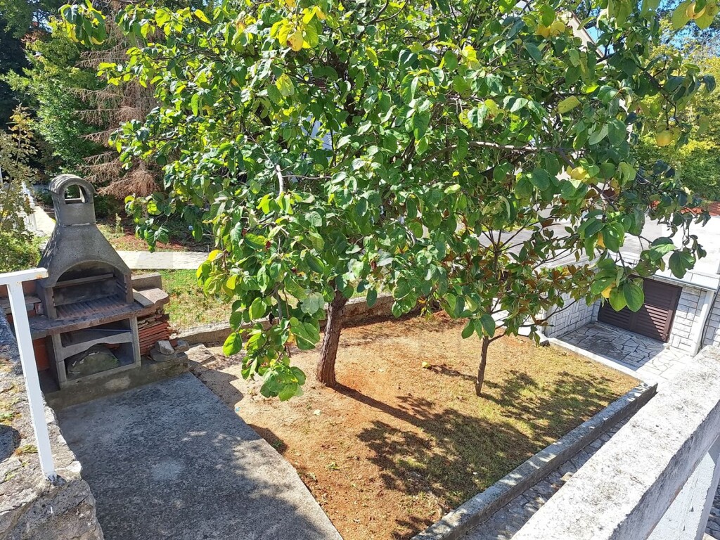 Image 14
