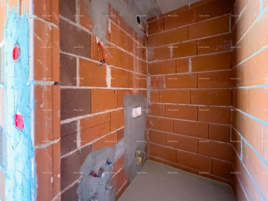 Image 12