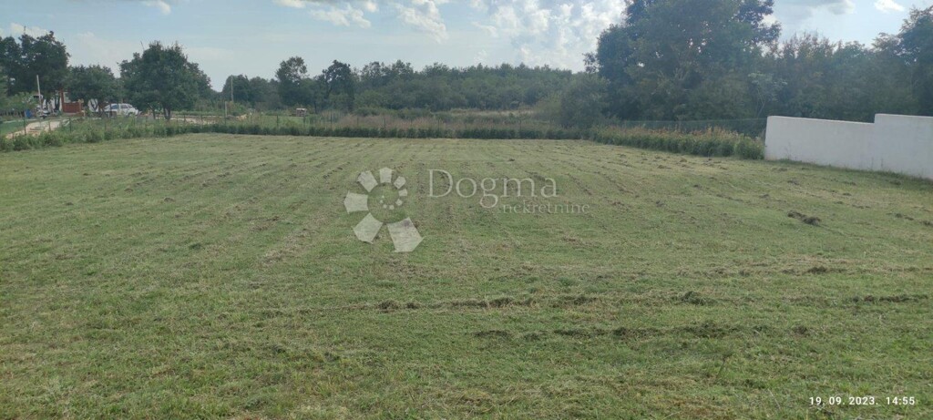 Image 15