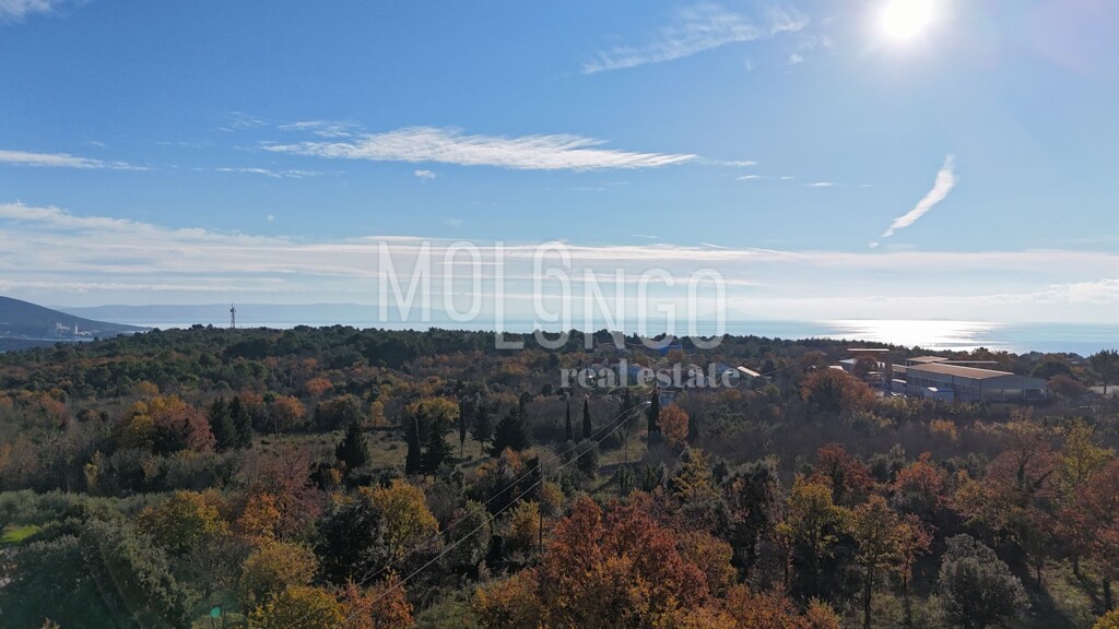 Image 6254499 - 1