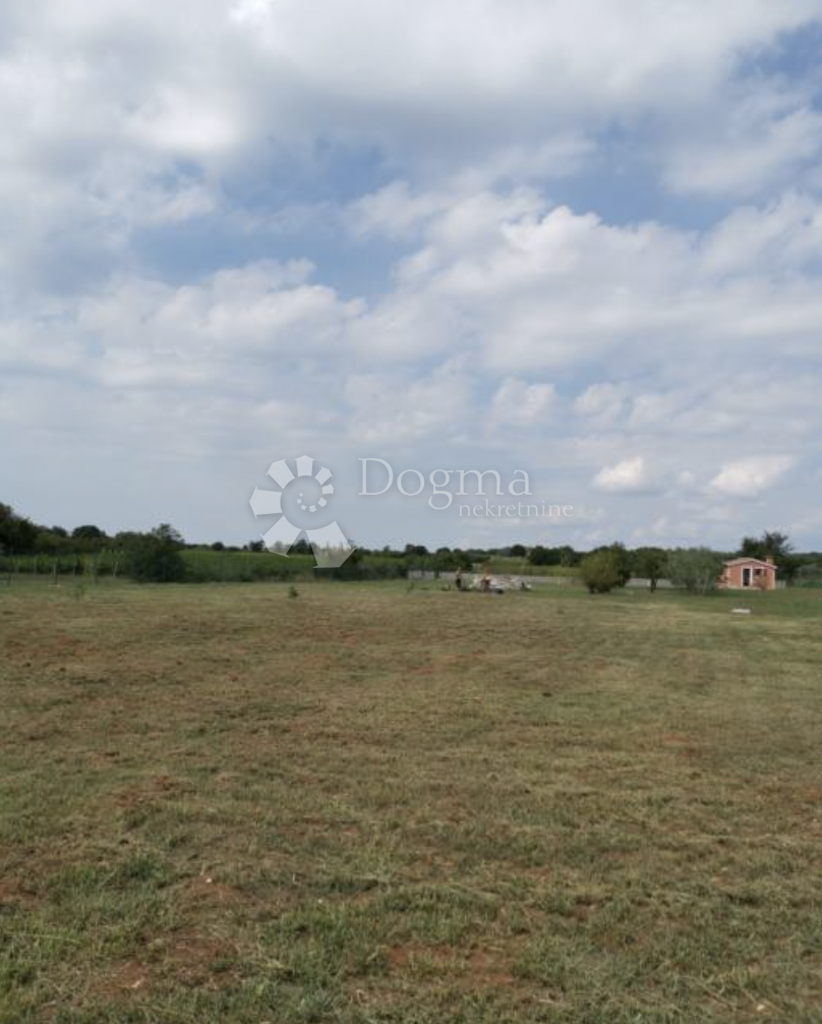 Image 13