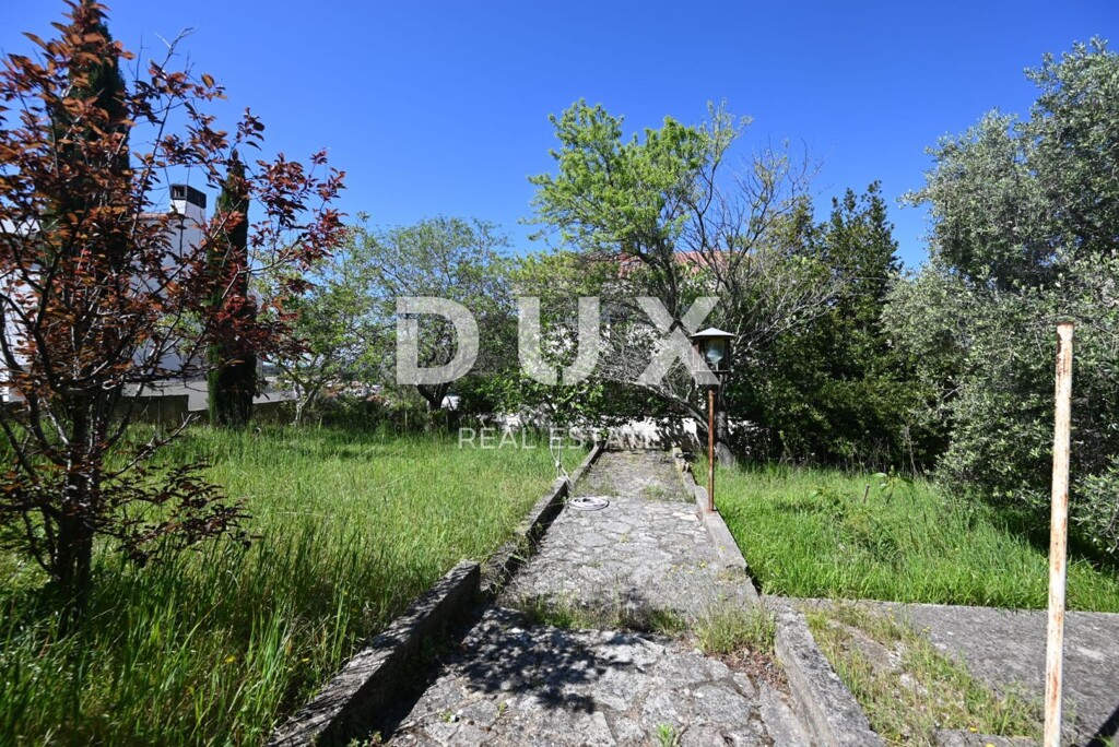 Image 22