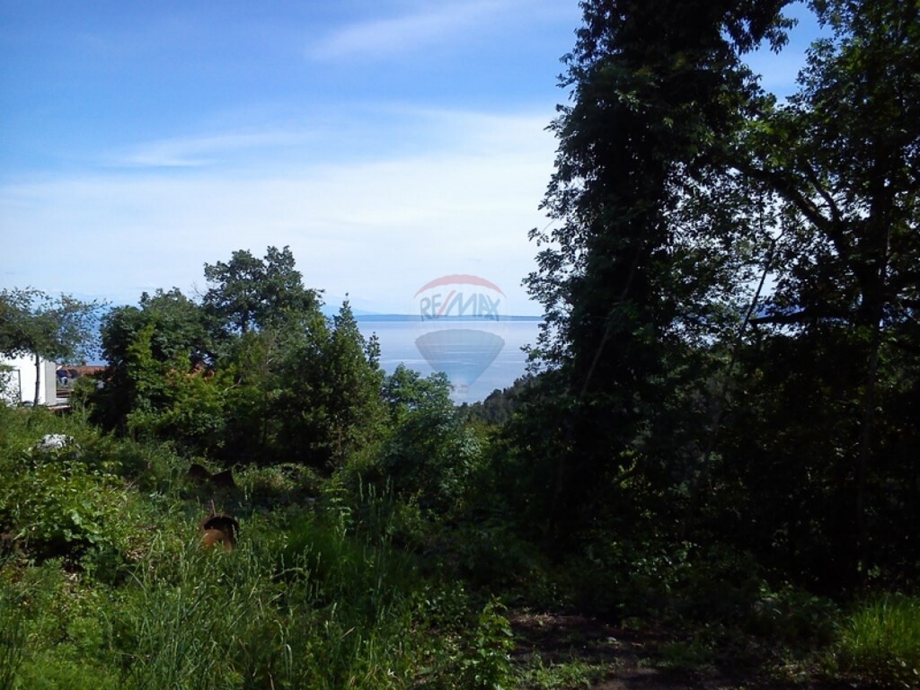 Image 5411037 - 1