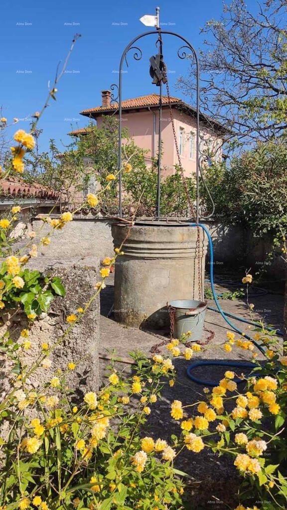 Image 15