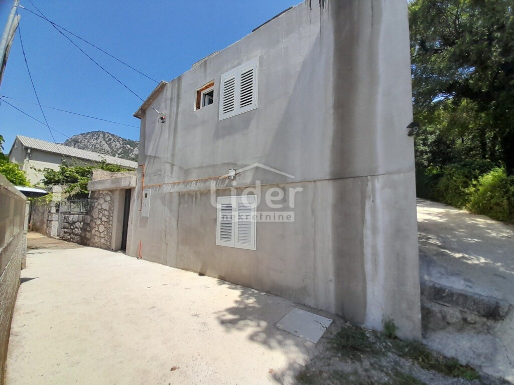 Image 19