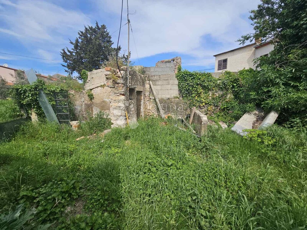Image 21